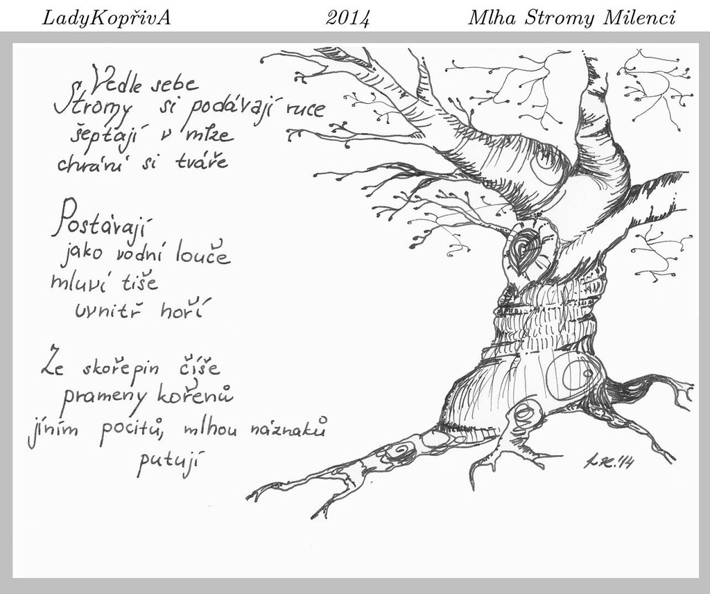 mlha-stromy-milenci