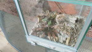 img_20170920_111526.jpg