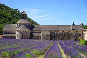 abbaye-de-senanque-1595649_960_720.jpg