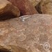 topaz 01